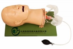 高級多功能氣道管理模型